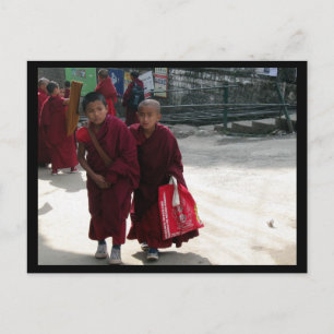 Young Tibetan Buddhist Monks, Dharamsala, India Postcard