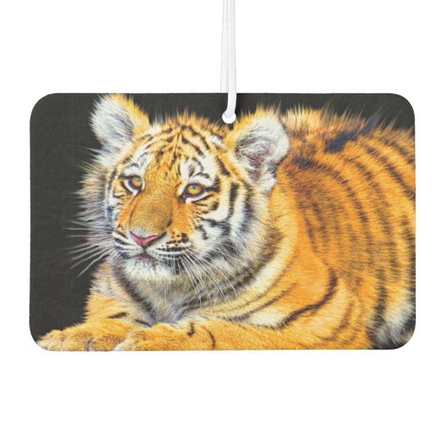 Young Tiger Car Air Freshener (Front)
