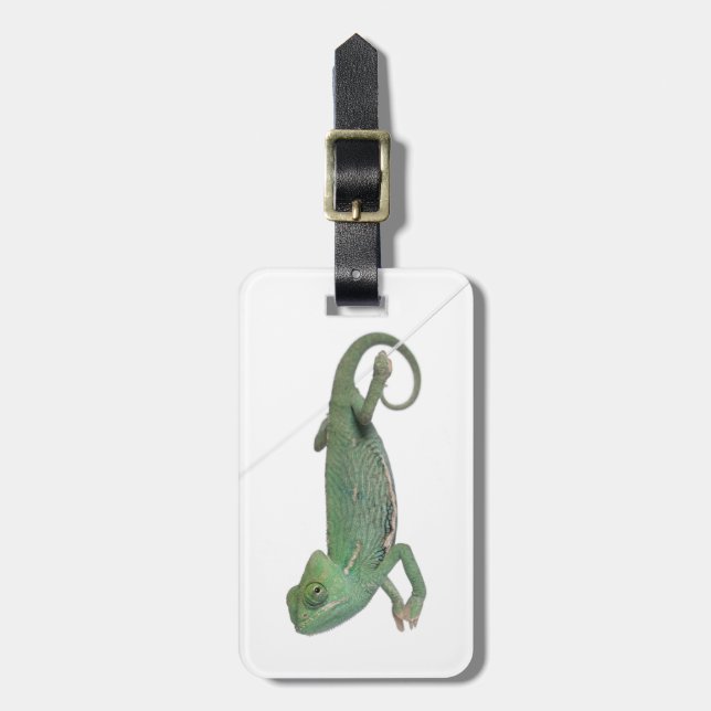 Young veiled chameleon, Chamaeleo calyptratus Luggage Tag (Front Vertical)