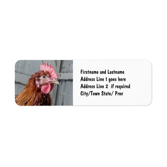 Young Welsummer Rooster Chicken Return Address Label