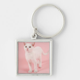 Young white cat 2 key ring
