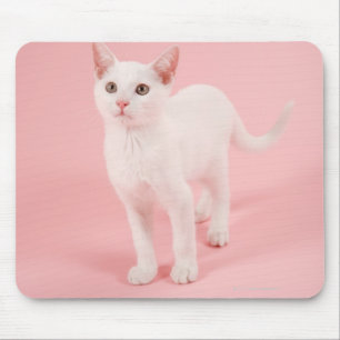 Young white cat 2 mouse pad