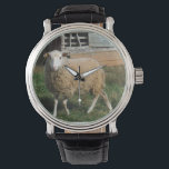 Young White Sheep on the Farm Photo by Sandy Closs Watch<br><div class="desc">Young White Sheep on the Farm Photo by Sandy Closs  "farm animals",  baby,  "baby shower" Lamb,  "mummy sheep""white sheep", " lamb mother"country "rustic wedding""lamb gifts"shepherd,  christmas cream</div>