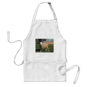 Young White Sheep on the Farm Standard Apron