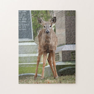 Young White Tailed Deer In Cemetery Jigsaw Puzzle