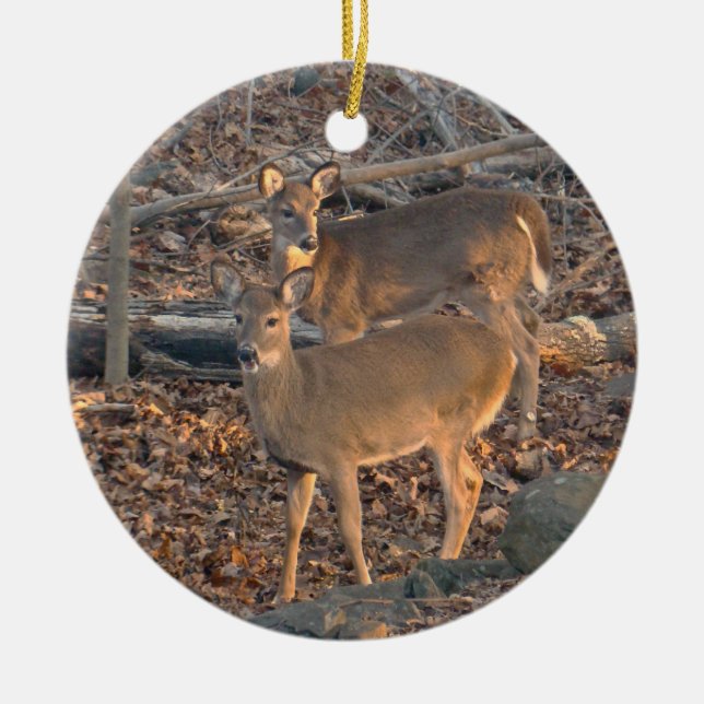 Young Whitetail Deer Christmas Ornament (Front)