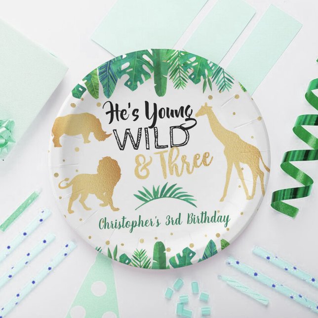 Young Wild & Three Boys Third Birthday Paper Plate (Creator Uploaded)