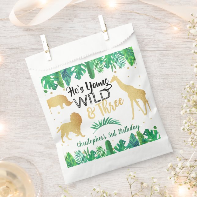 Young Wild & Three Boys Third Birthday Party Favour Bag (Clipped)