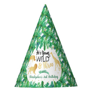 Young Wild & Three Boys Third Birthday Party Hat
