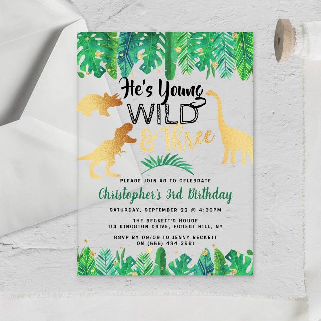 Young Wild & Three Dinosaur Boys 3rd Birthday Acrylic Invitations (Creator Uploaded)