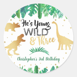 Young Wild & Three Dinosaur Boys Third Birthday Classic Round Sticker
