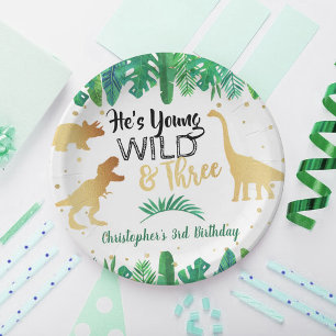 Young Wild & Three Dinosaur Boys Third Birthday Paper Plate