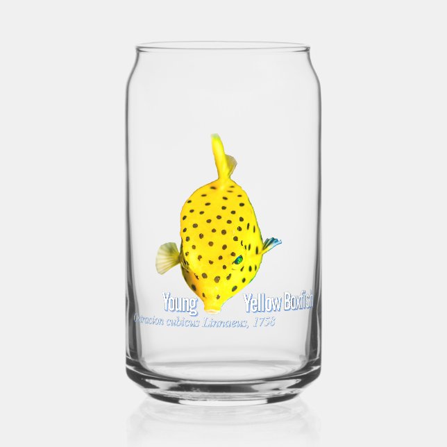 Young Yellow Boxfish Can Glass (Front)