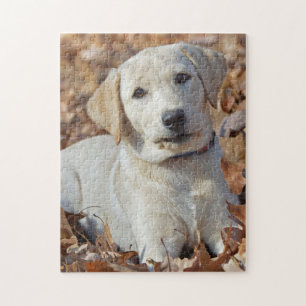 Young Yellow Labrador Retriever Puppy Jigsaw Puzzle