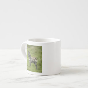 Young Zebra In The Serengeti Plain Espresso Cup