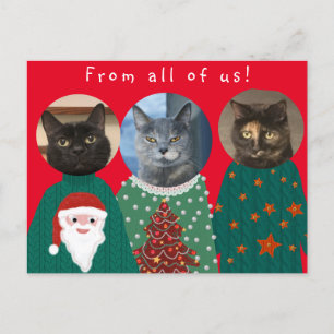 Your 3 Cats in Ugly Christmas Sweaters Postcard