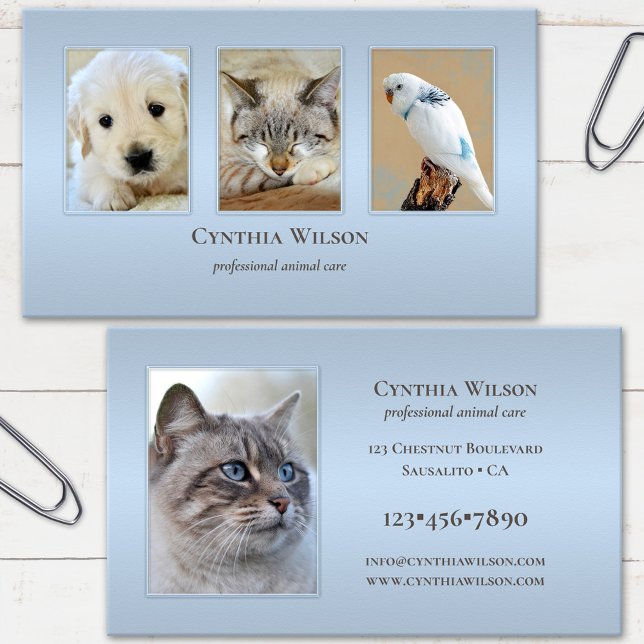 Your 4 Photos Animal Clinic or Care Dusty Blue Business Card (Creator Uploaded)