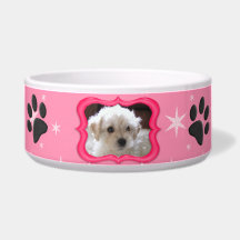 Your A Star Dog Dish - Customise Photo