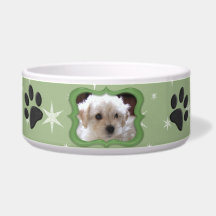Your A Star Dog Dish - Customise Photo