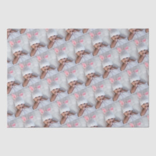 Your Baby Photo In a Pattern Tissue Paper
