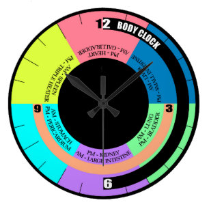Your Bio Body Wall Clock