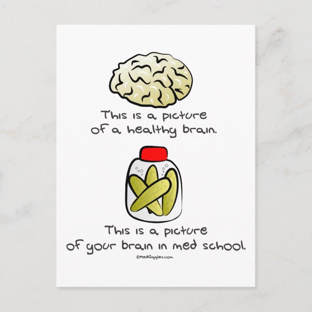 Your brain in Med School Postcard (Front)