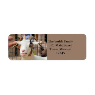 Your camera looks tasty return address label