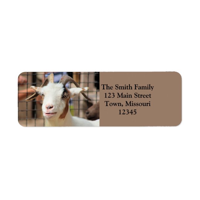 Your camera looks tasty return address label (Front)