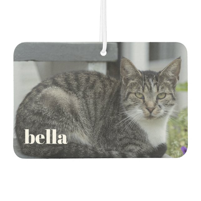 Your Cat Name and Pet Photo Template Car Air Freshener (Front)