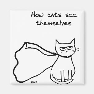 Your Cat the Superhero - Funny Cat Gift Magnet