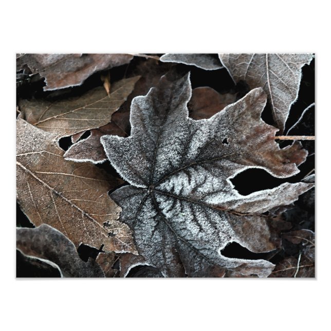 Your Custom 16" x 12" Photo Enlargement Print (Front)