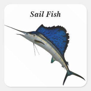 Your Custom Square Stickers Sailfish