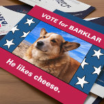 Your Dog In Funny US Election Campaign Parody 2025 Postcard<br><div class="desc">Put a spin into the election cycle with these spoof candidate postcards featuring your dog's photo and custom campaign slogan... friends, family and neighbours will get a giggle when these parody cards appear in their box among the "serious" ones. Just use the easy template to add your own text and...</div>
