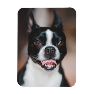 Your Dog Photo Fur Baby Cute Puppy Image Upload Magnet