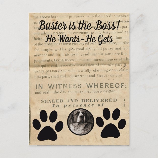 Your Dog Photo n Paws 1860 Legal Document Funny Postcard (Front)