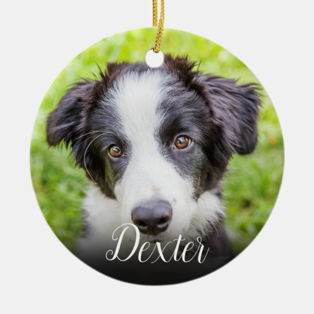 Your Favourite Pet Photo Ceramic Ornament (Front)