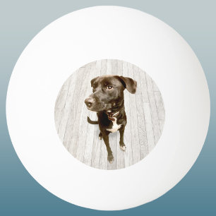 Your Favourite Pet Photo Keepsake Ping Pong Ball