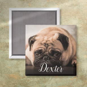 Your Favourite Pet Photo Magnet