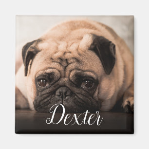 Your Favourite Pet Photo Magnet