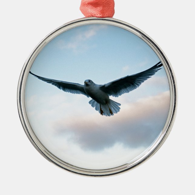 Your Free Just LIke Jonathan Livingston Metal Ornament (Front)