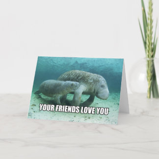 "Your Friends Love You" Calming Manatee Card