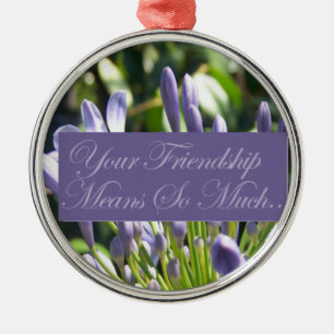 Your Friendship Means So Much Metal Ornament