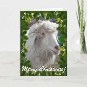 YOUR GOAT PHOTO in this Boughs and Mistletoe Frame Holiday Card