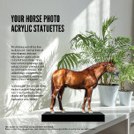 Your Horse Photo Acrylic Statuettes Cutout Standing Photo Sculpture<br><div class="desc">"Your Horse Photo Acrylic Statuettes Cutout" offers a truly unique and personalised way to display your beloved horse! Using one of the many free online tools available, easily remove the background from your photo, and then upload the cutout image to us. We'll take care of the rest, creating a stunning...</div>