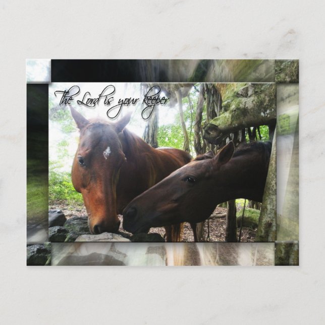 Your Keeper Postcard (Front)