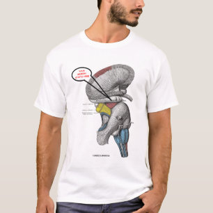 Your Memory Starts Here (Hippocampus Humour) T-Shirt