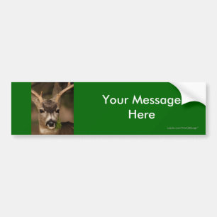 Your Message Bumper Sticker