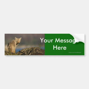Your Message Bumper Sticker