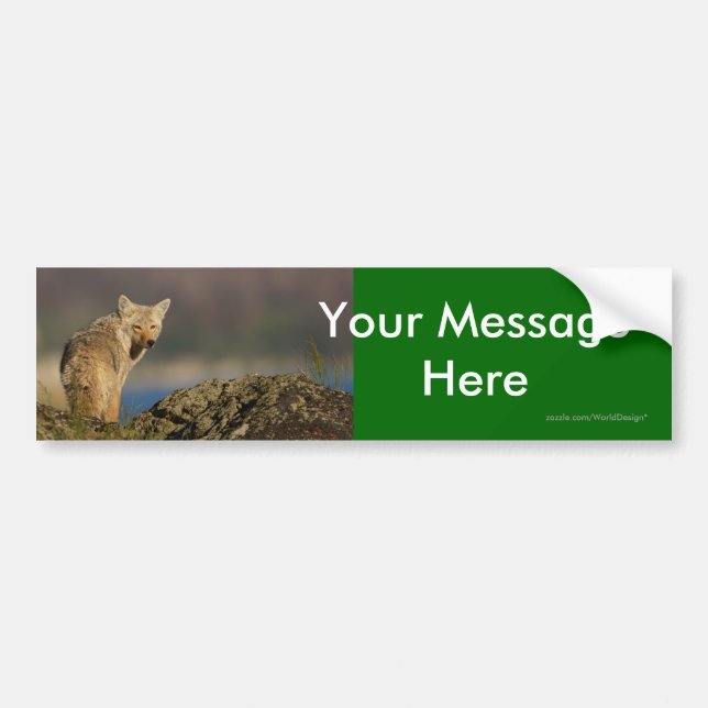Your Message Bumper Sticker (Front)
