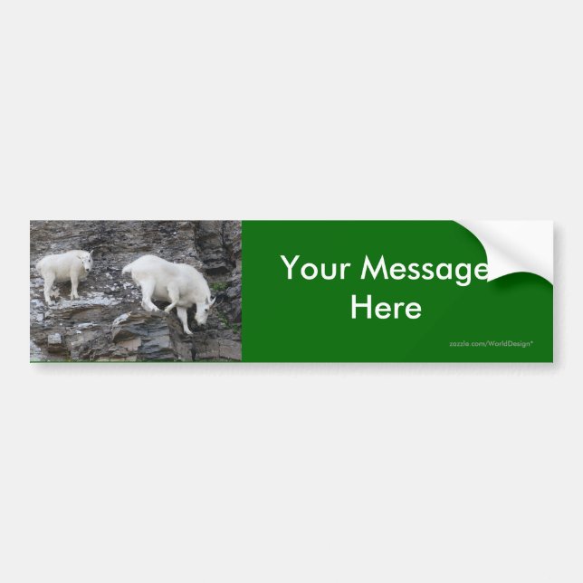Your Message Bumper Sticker (Front)